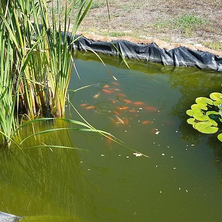 אולמדו Agriturismo La Barca In Secca מראה חיצוני תמונה