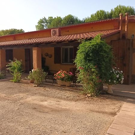 אולמדו Agriturismo La Barca In Secca מראה חיצוני תמונה