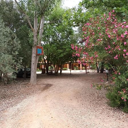 אולמדו Agriturismo La Barca In Secca מראה חיצוני תמונה