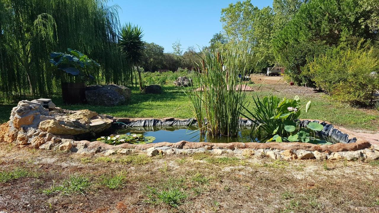 אולמדו Agriturismo La Barca In Secca מראה חיצוני תמונה