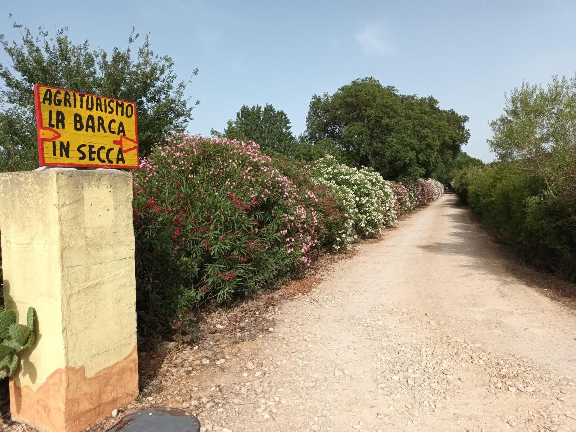 אולמדו Agriturismo La Barca In Secca מראה חיצוני תמונה